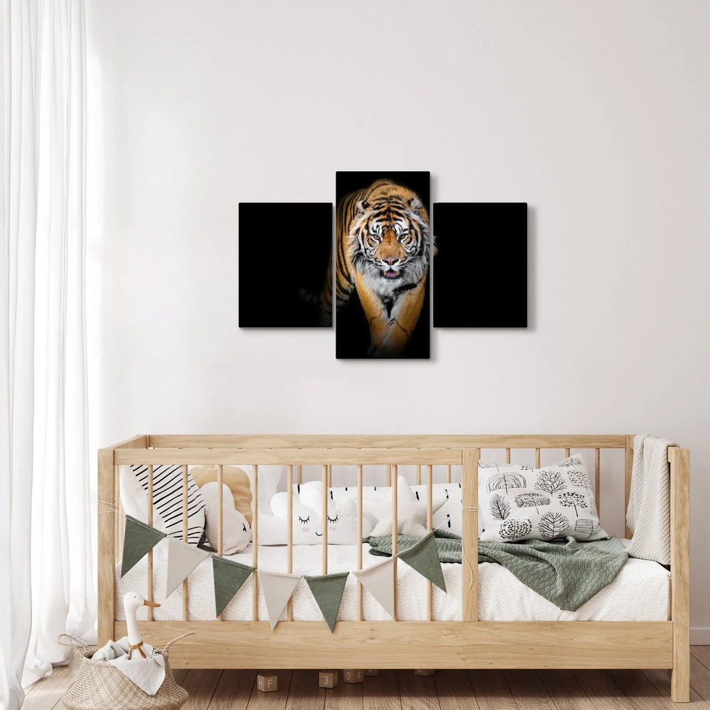 Tablou - Tiger (90x60 cm)