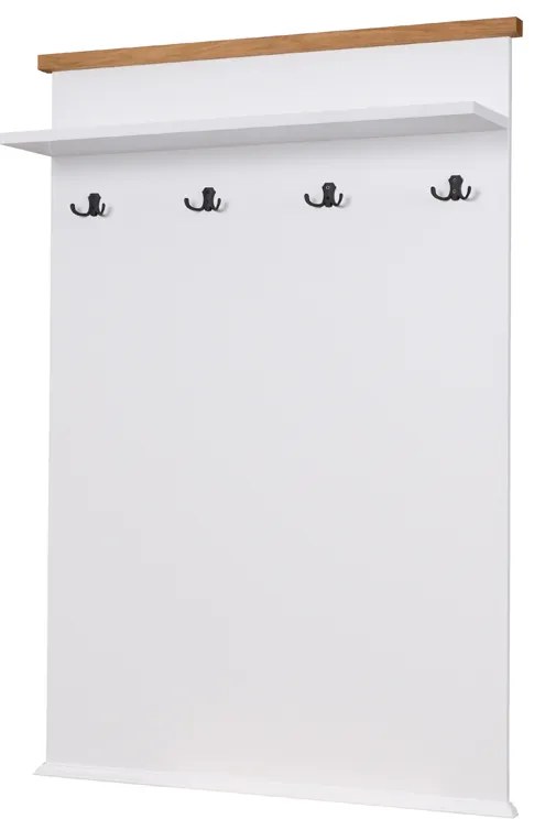 Panou cuier. 1057961