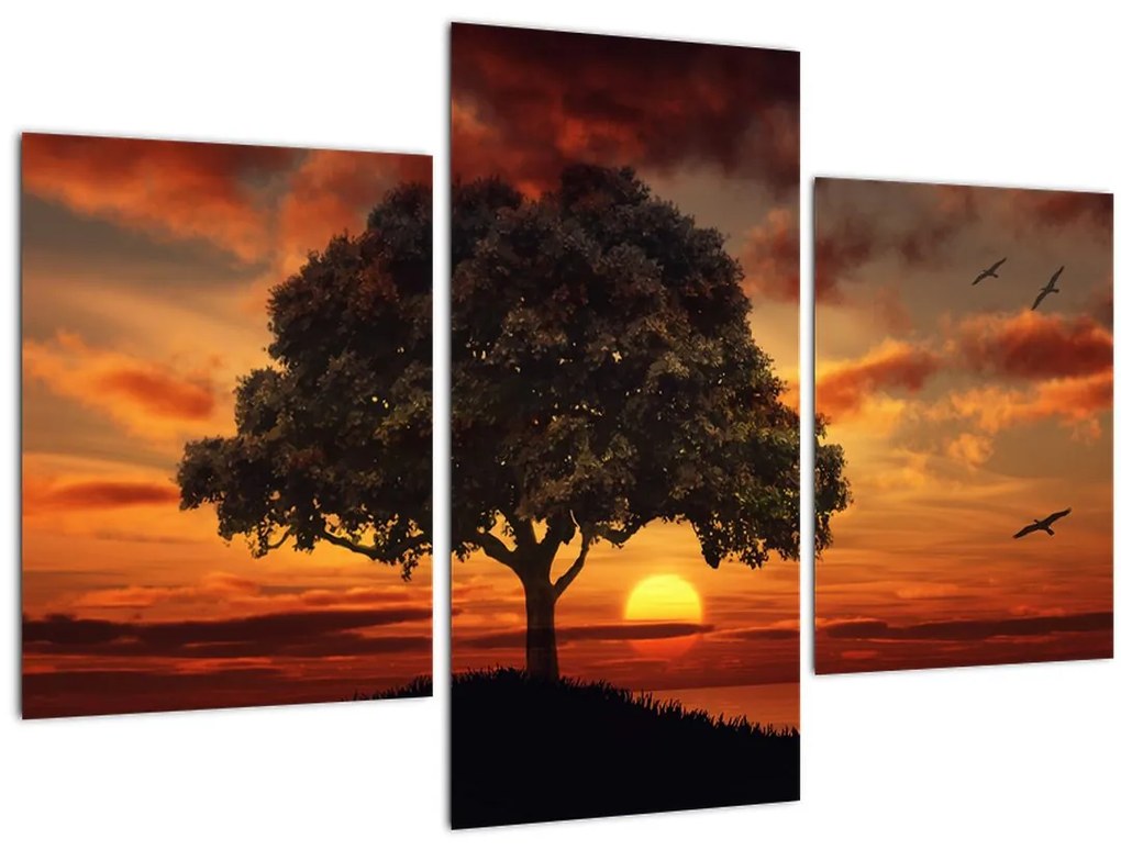 Tablou cu pomi și apus de soare (90x60 cm)