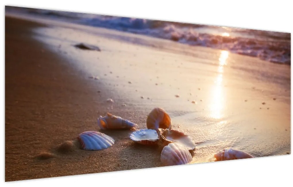 Tablou - Scoici (120x50 cm)