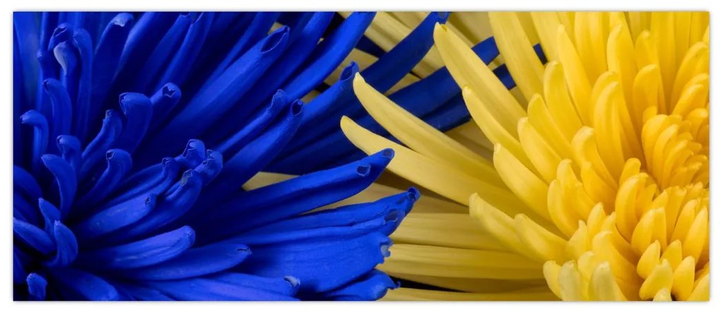 Tablou - detaliu florilor (120x50 cm)