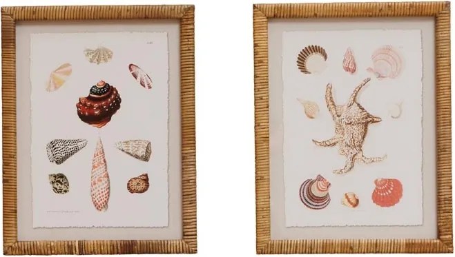 Set 2 tablouri, Shells