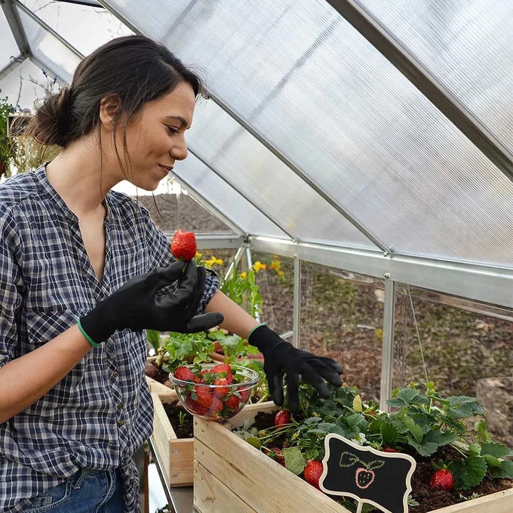 Seră de grădină din aluminiu