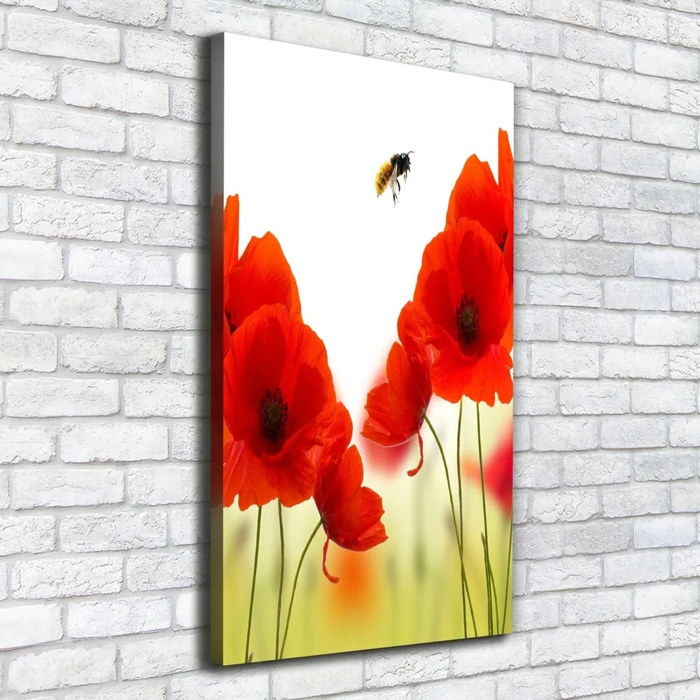 Pictură pe pânză Wildflowers maci