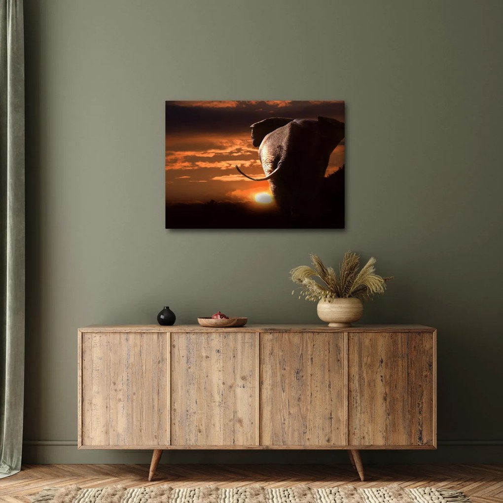 Tablou cu elefant (70x50 cm)