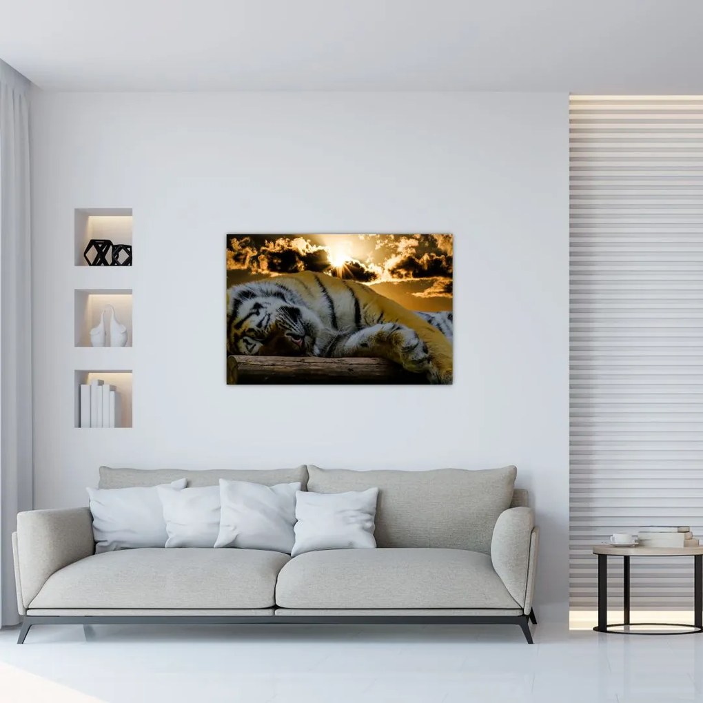 Tablou tigrul dormind (90x60 cm)