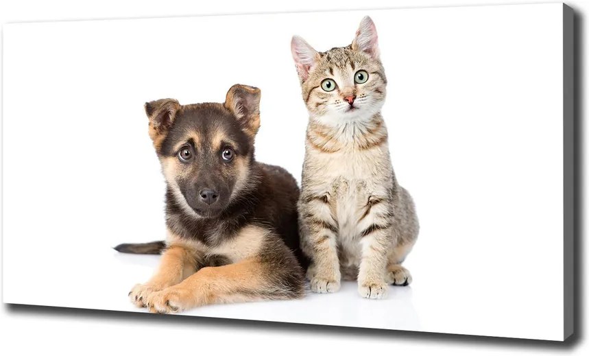 Pictură pe pânză Câine și pisică
