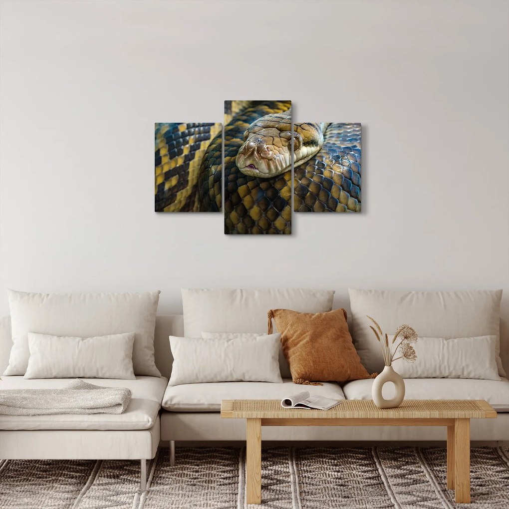 Tablou - Piton (90x60 cm)