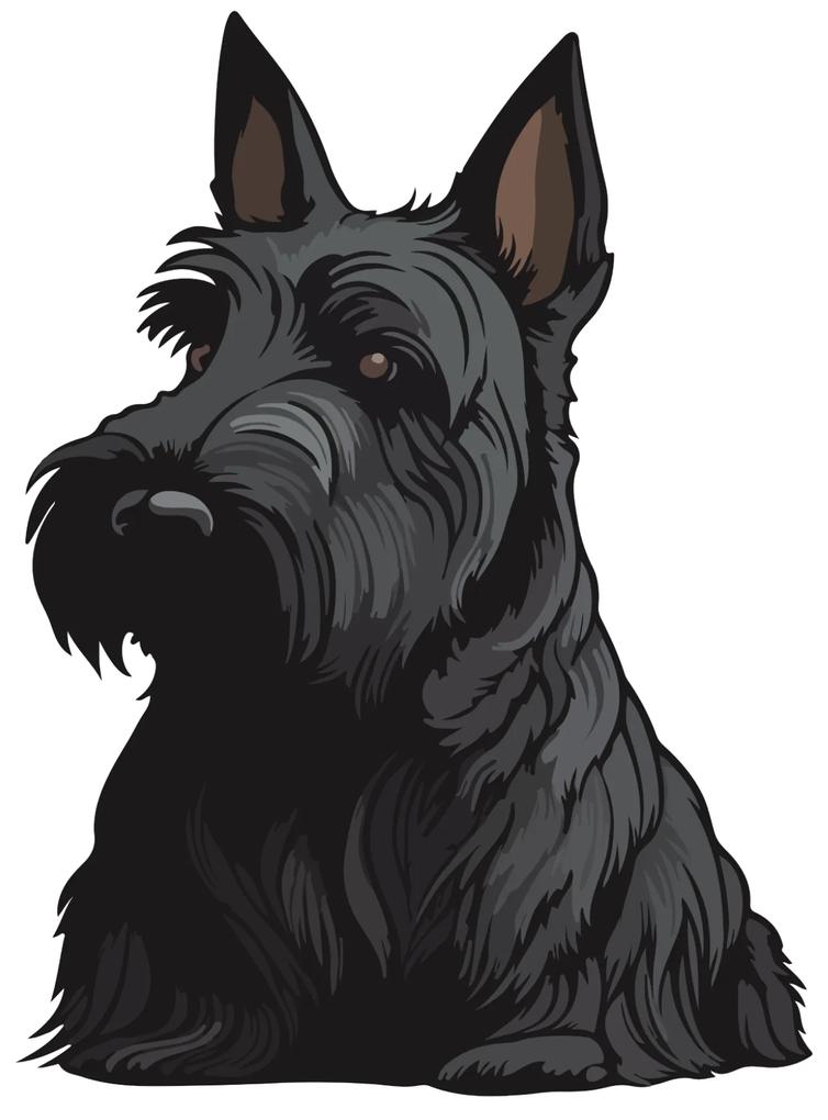 PIPPER. Autocolant Terrier scoțian mărimea: 15cm