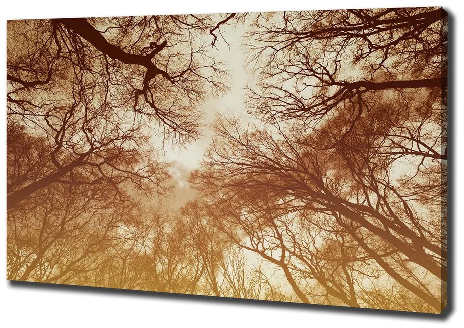 Print pe canvas Pădure