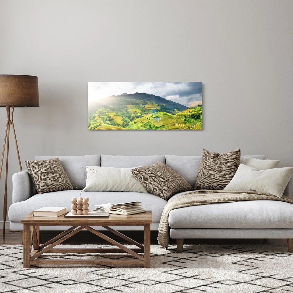 Tablou plantație (120x50 cm)