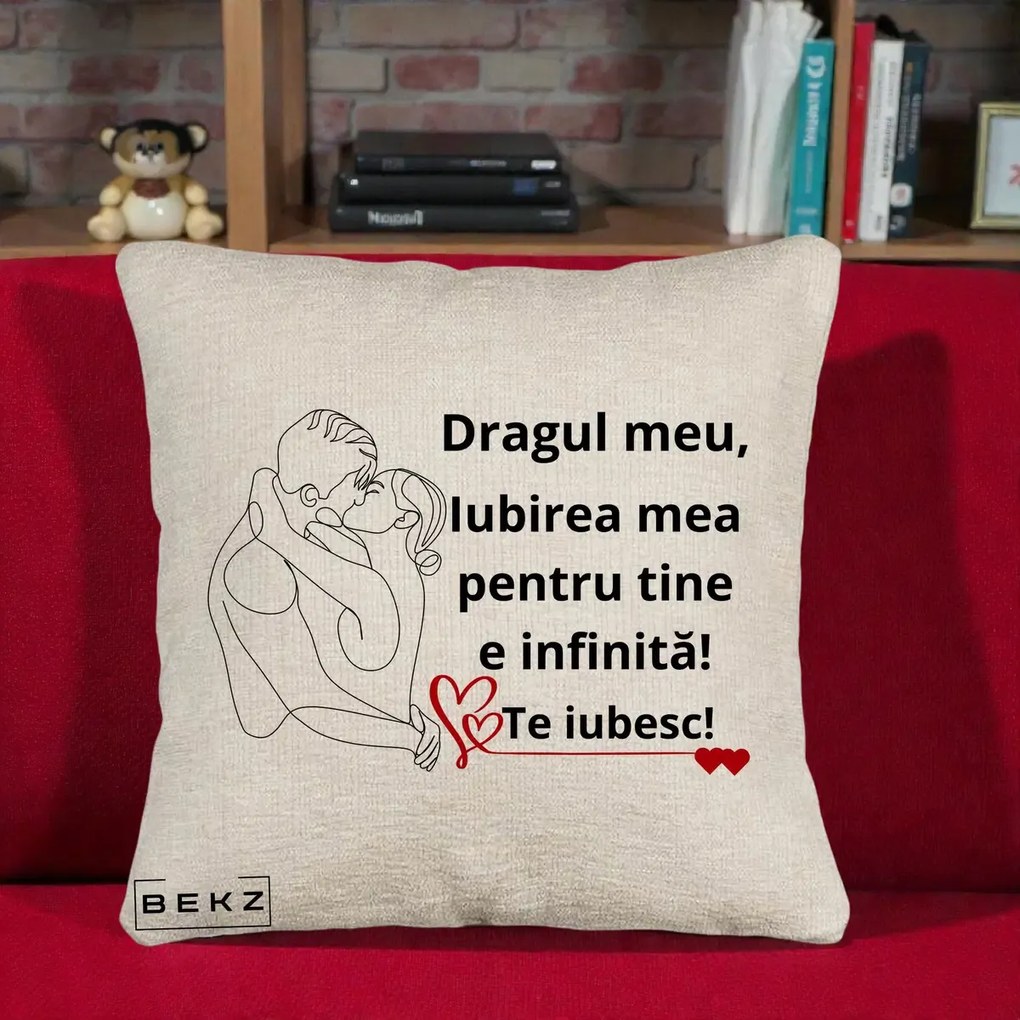 Cadou pentru Iubit - Perna Personalizata Dragul Meu Iubirea Mea pentru Tine e Infinita Te Iubesc, 40x40 cm, Bej Canapea, Husa Detasabila, Perna Inclusa, BEKZ®