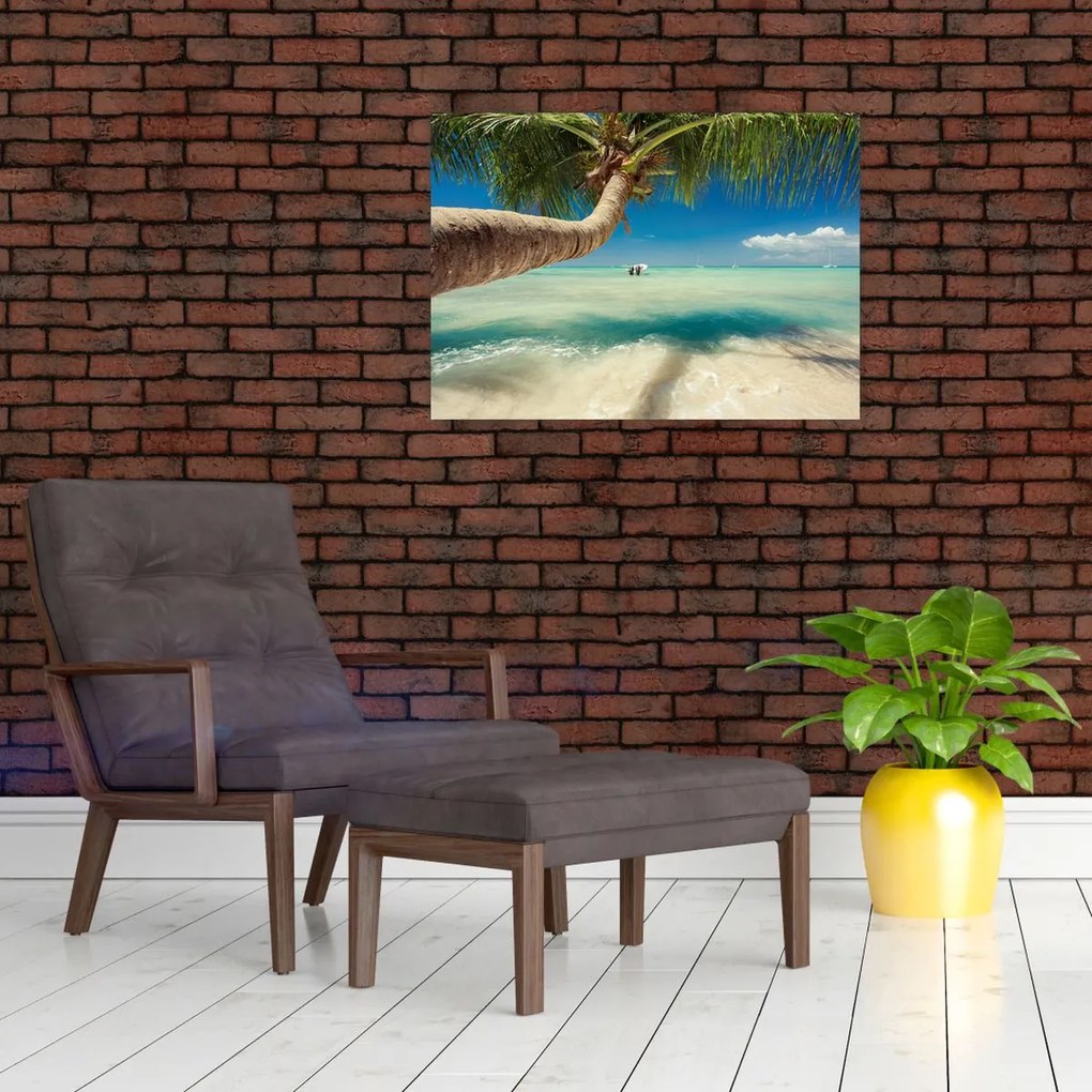 Tablou pe sticlă - Mare curată cu palmier (70x50 cm)