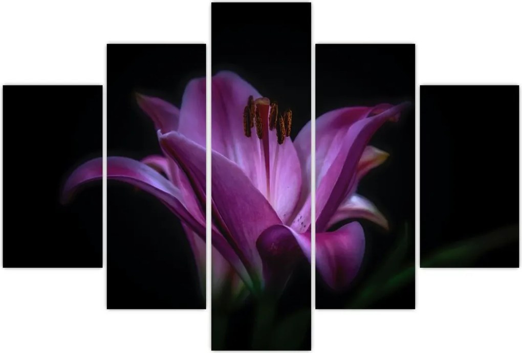 Tablou crinul (150x105 cm)