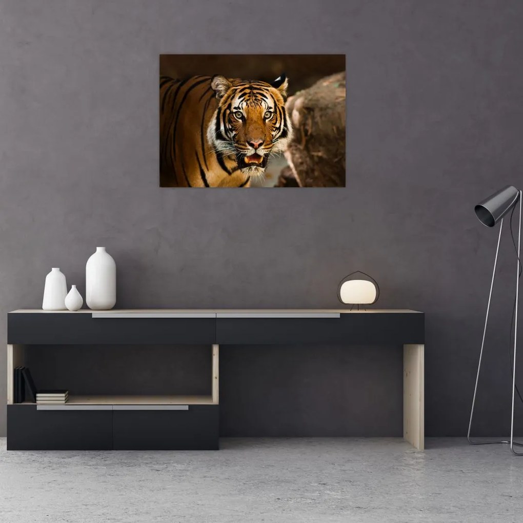 Tablou cu tigrul (70x50 cm)
