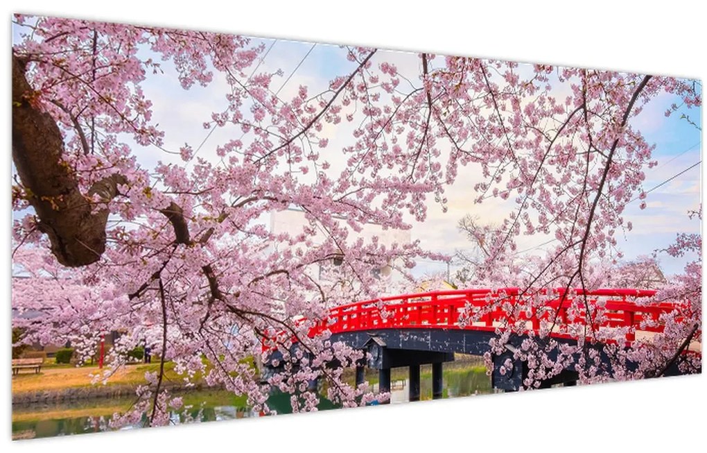 Tablou - Hirosaki, Japonia (120x50 cm)