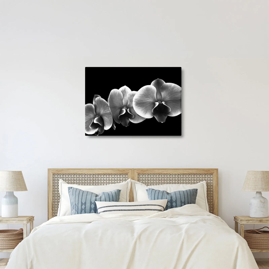 Tablou floare de orhidee (70x50 cm)