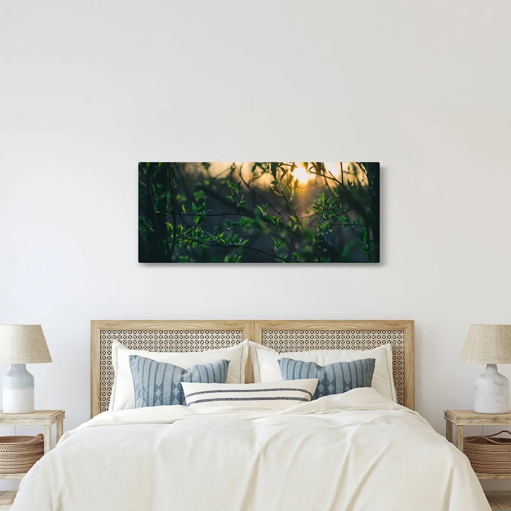 Tablou - Soarele strălucind printre crengile copacilor (120x50 cm)