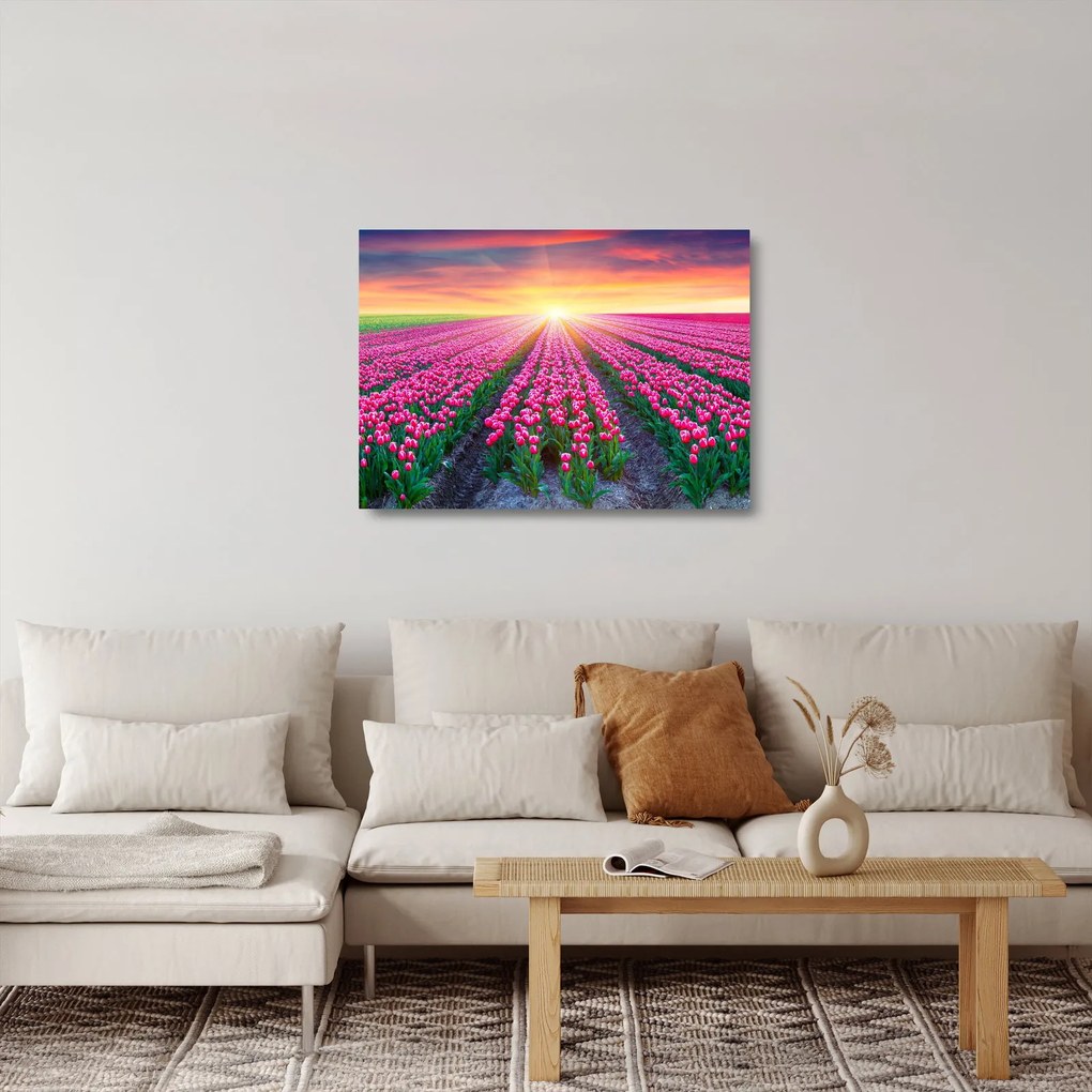 Tablou pe sticlă cu câmp de lalele cu soare (70x50 cm)