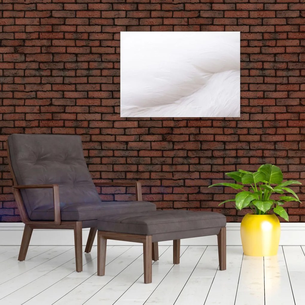 Tablou - Detalii pene (70x50 cm)