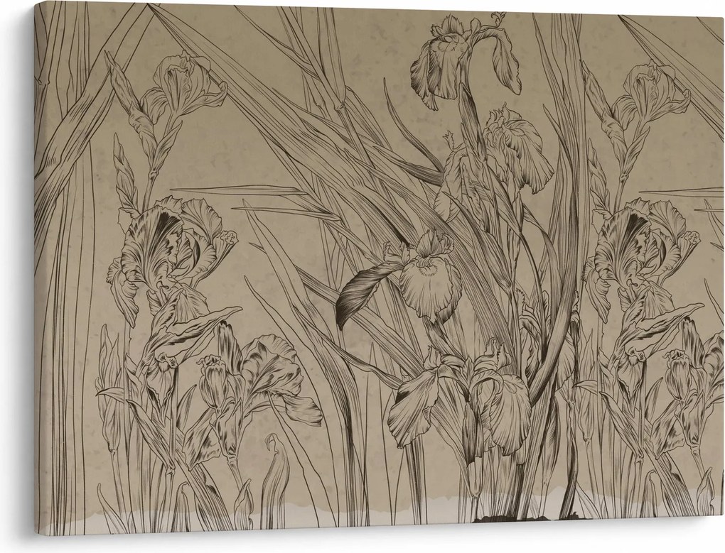 Tablou - Contururile plantelor (70x50 cm)