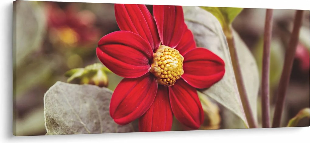 Tablou cu floare (120x50 cm)