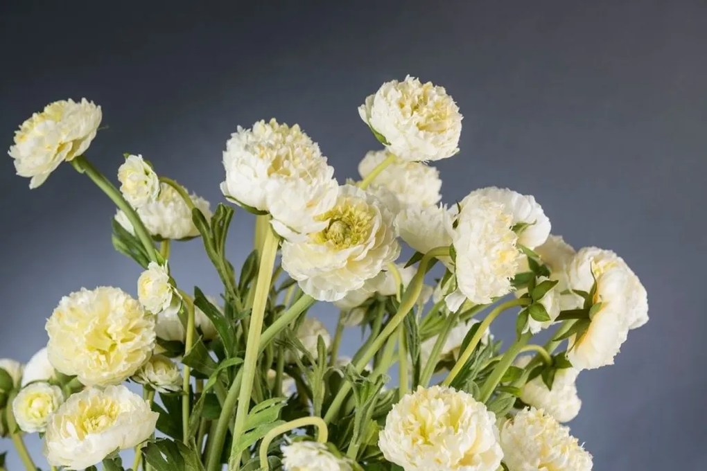 Aranjament floral, decor festiv design LUX, BABILON RANUNCOLO BIG 95cm, alb