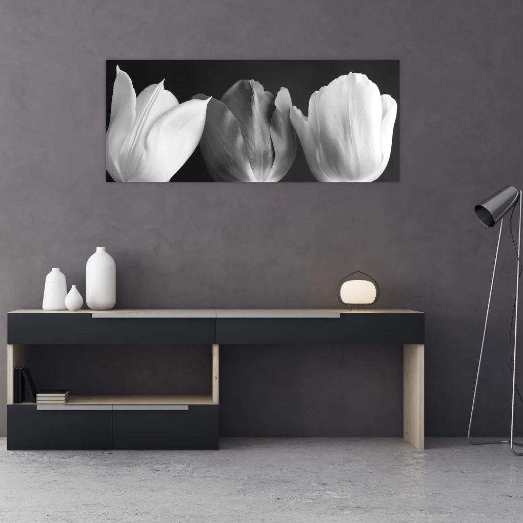 Tablou - Lalele alb negre (120x50 cm)