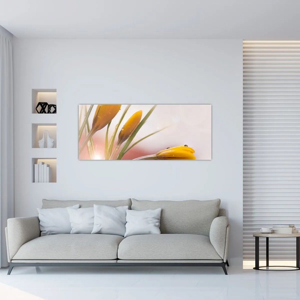 Tablou - Flori de primăvară (120x50 cm)