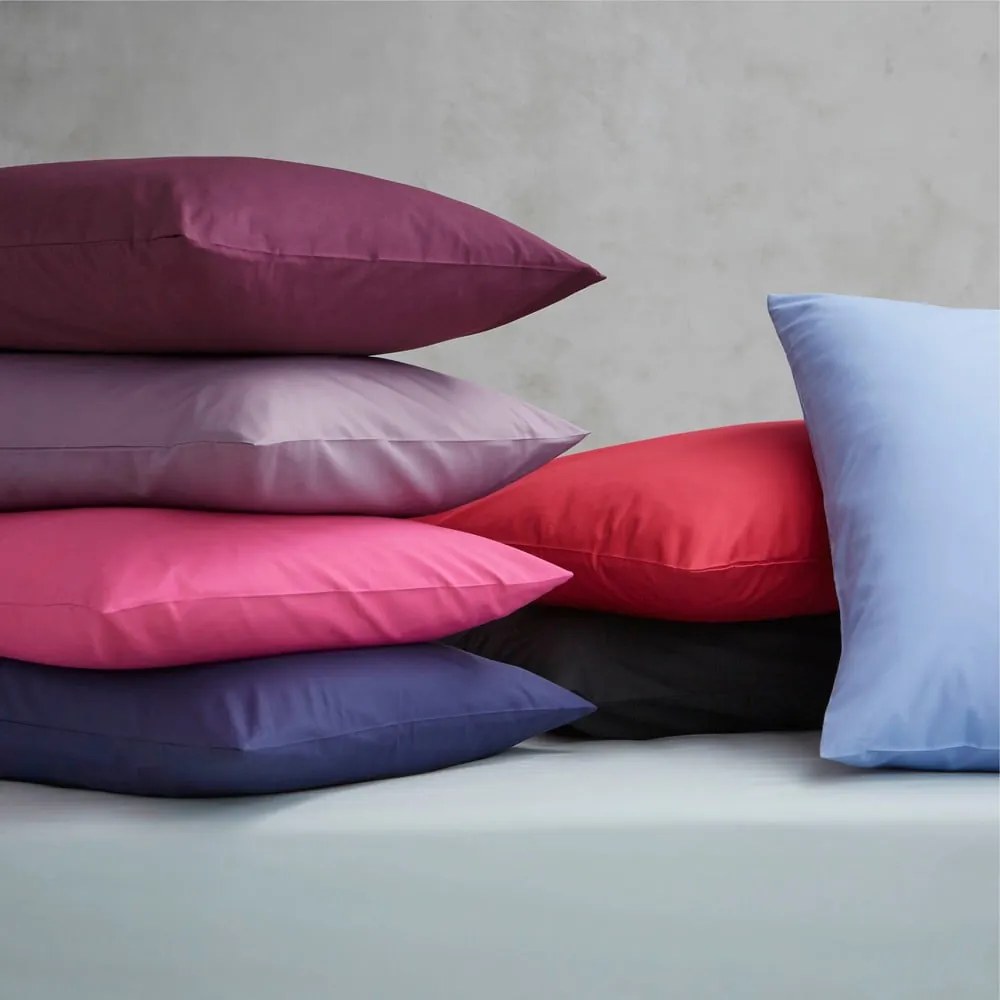 Cearceaf alb din bumbac percale 230x260 cm Easy Iron Percale – Catherine Lansfield