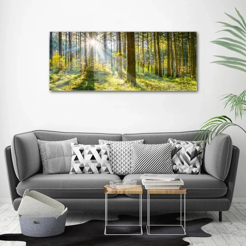 Tablou canvas Pădurea în soare