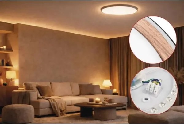 Plafonieră LED cu funcție de dimare ILVI LED/30W/230V 2700-6500K Ø 40 cm negru/bej + telecomandă