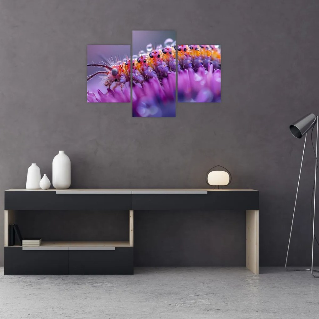 Tablou - Caterpillar (90x60 cm)