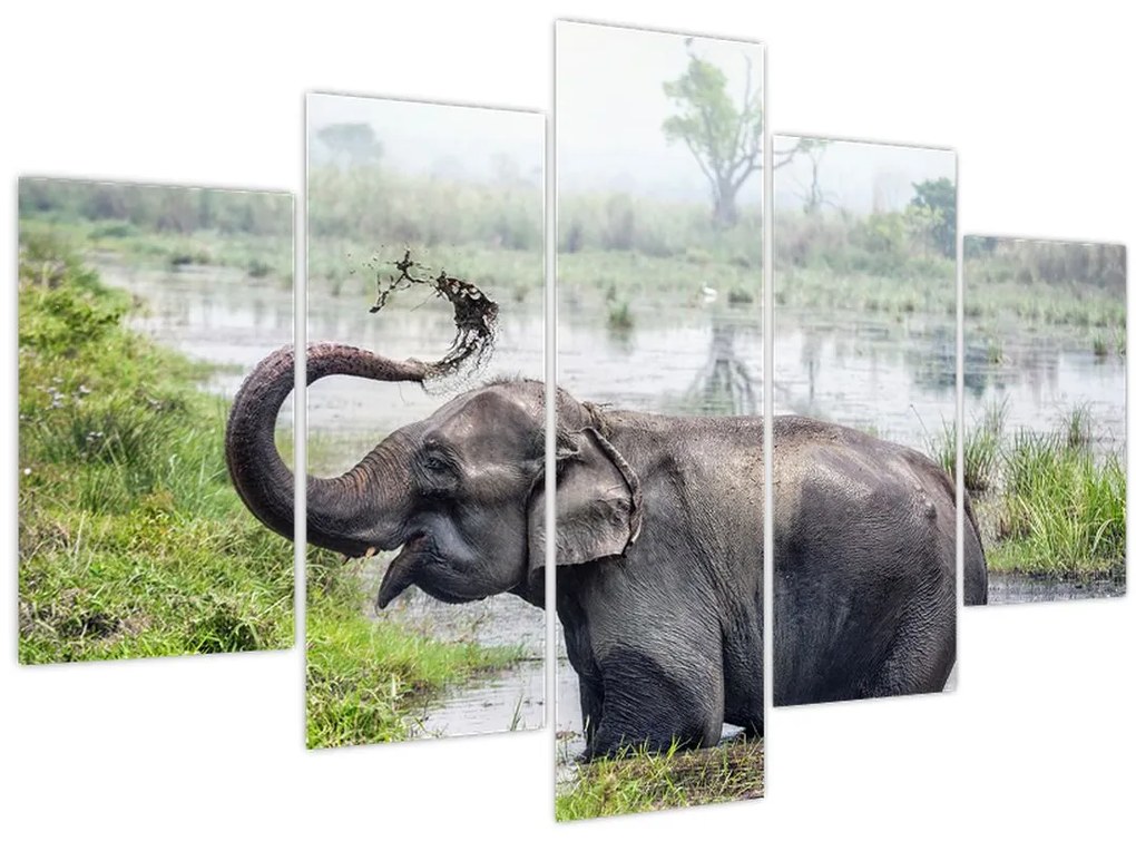 Tablou - Elefant de scăldat (150x105 cm)