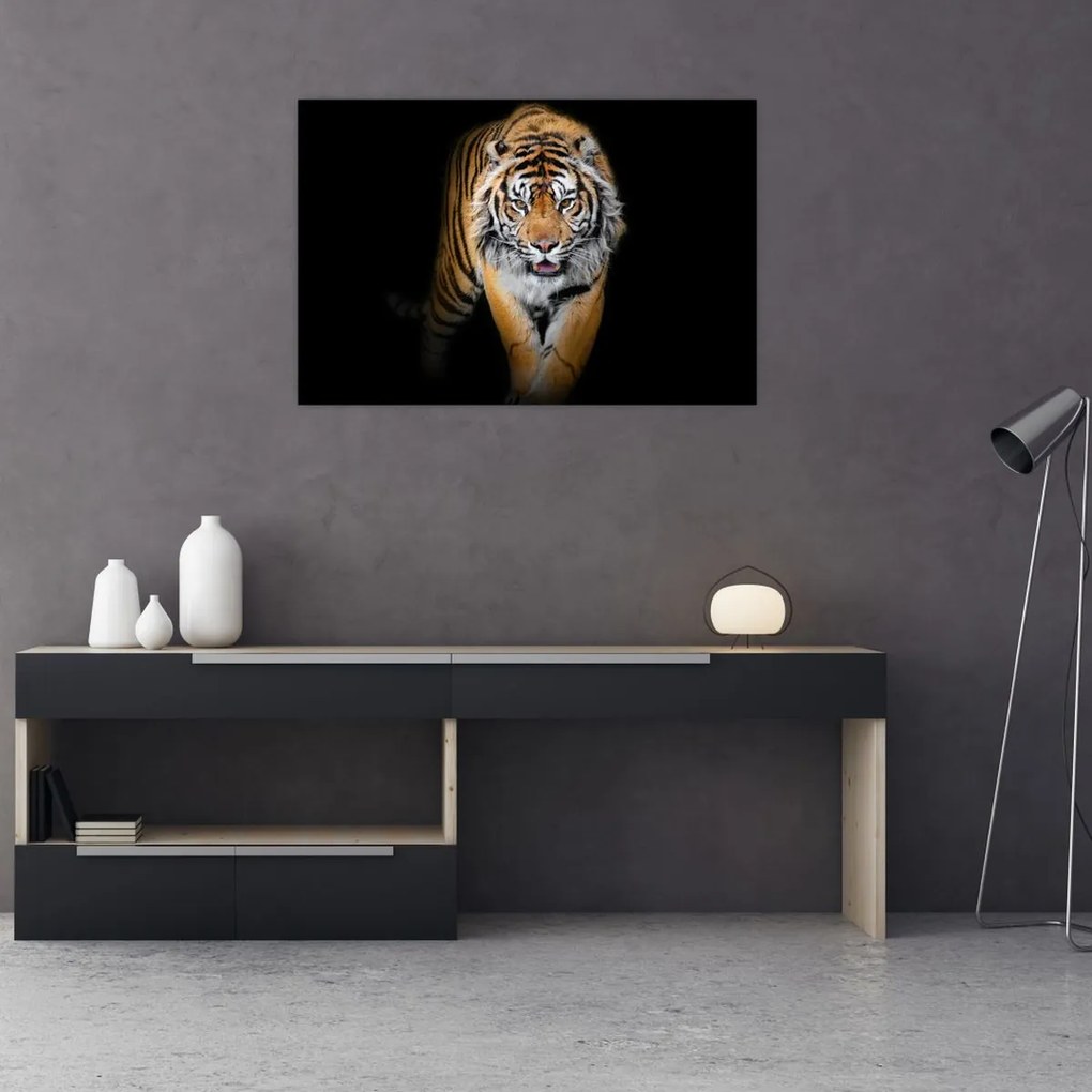 Tablou - Tiger (90x60 cm)