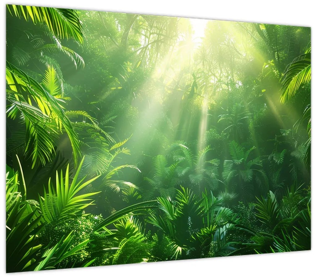Tablou pe sticlă - Pădurea tropicală (70x50 cm)