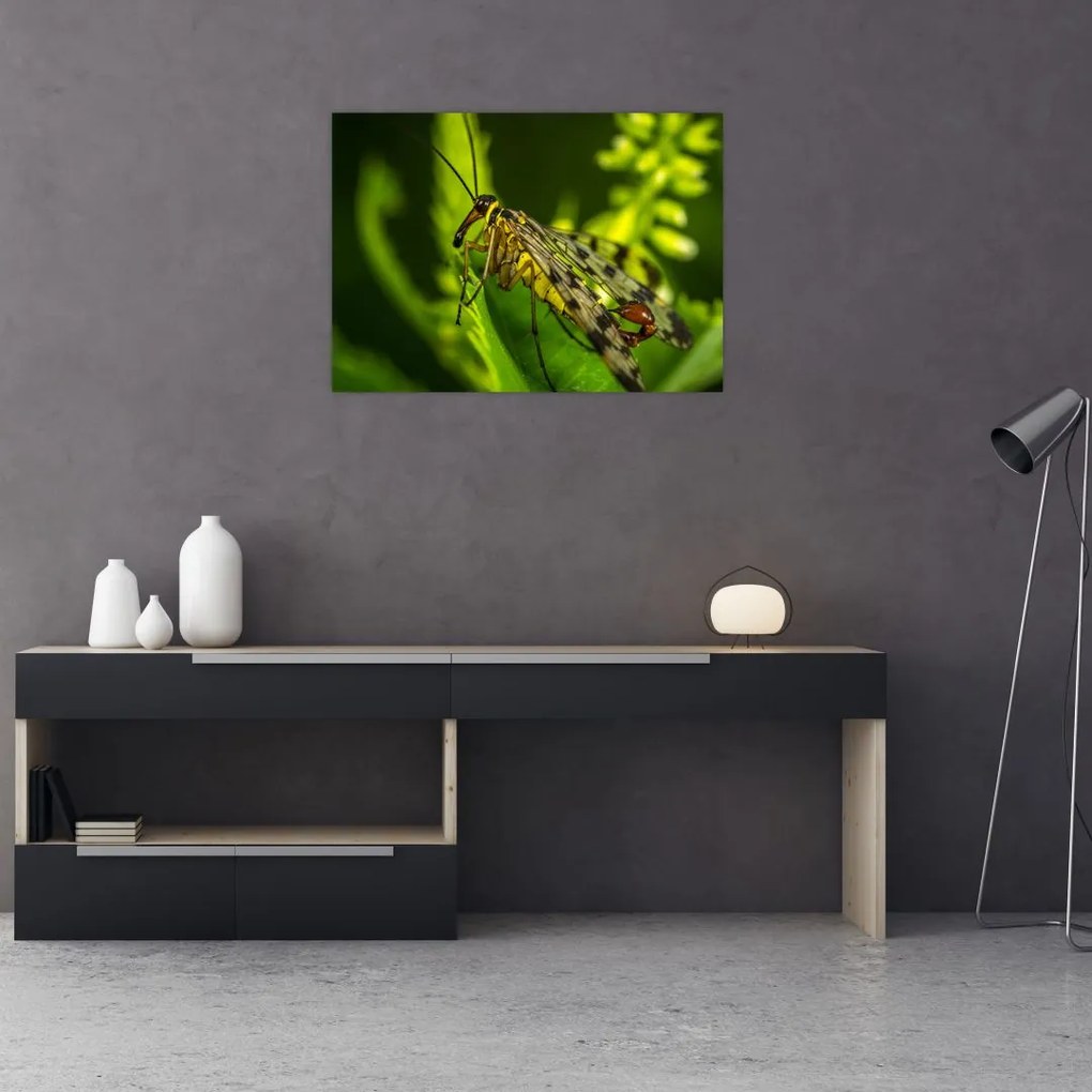 Tablou pe sticlă cu omide (70x50 cm)