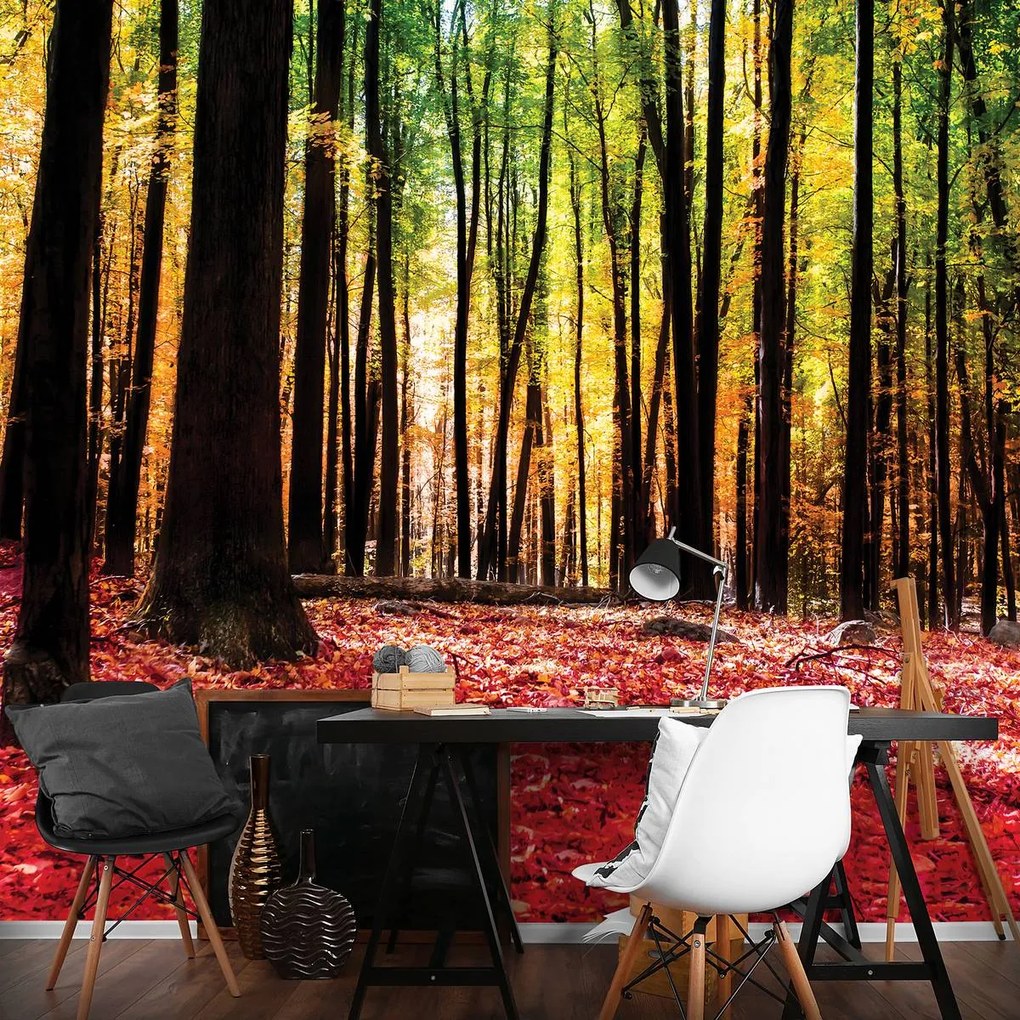 Fototapet - Pădure (152,5x104 cm)
