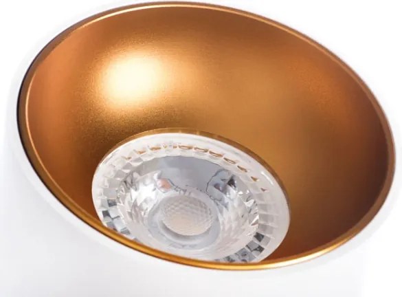 Spot de tavan RITI GU10/25W/230V Kanlux 27570