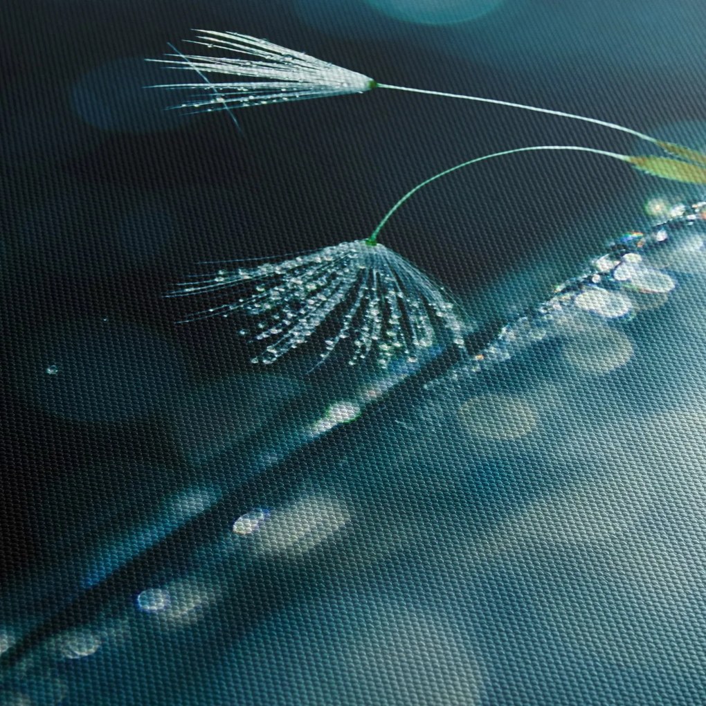 Tablou - Macro (90x60 cm)