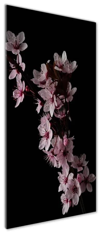 Tablou sticlă acrilică Flori de cireș