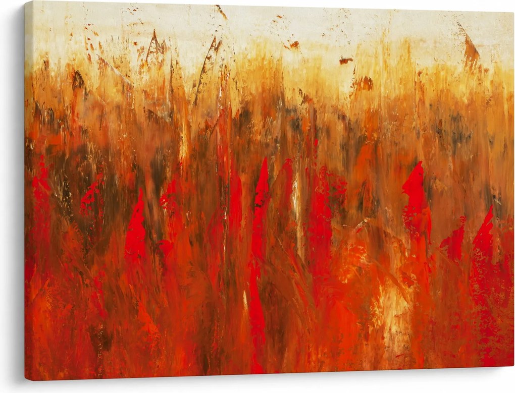 Tablou cu abstracție pictată (70x50 cm)