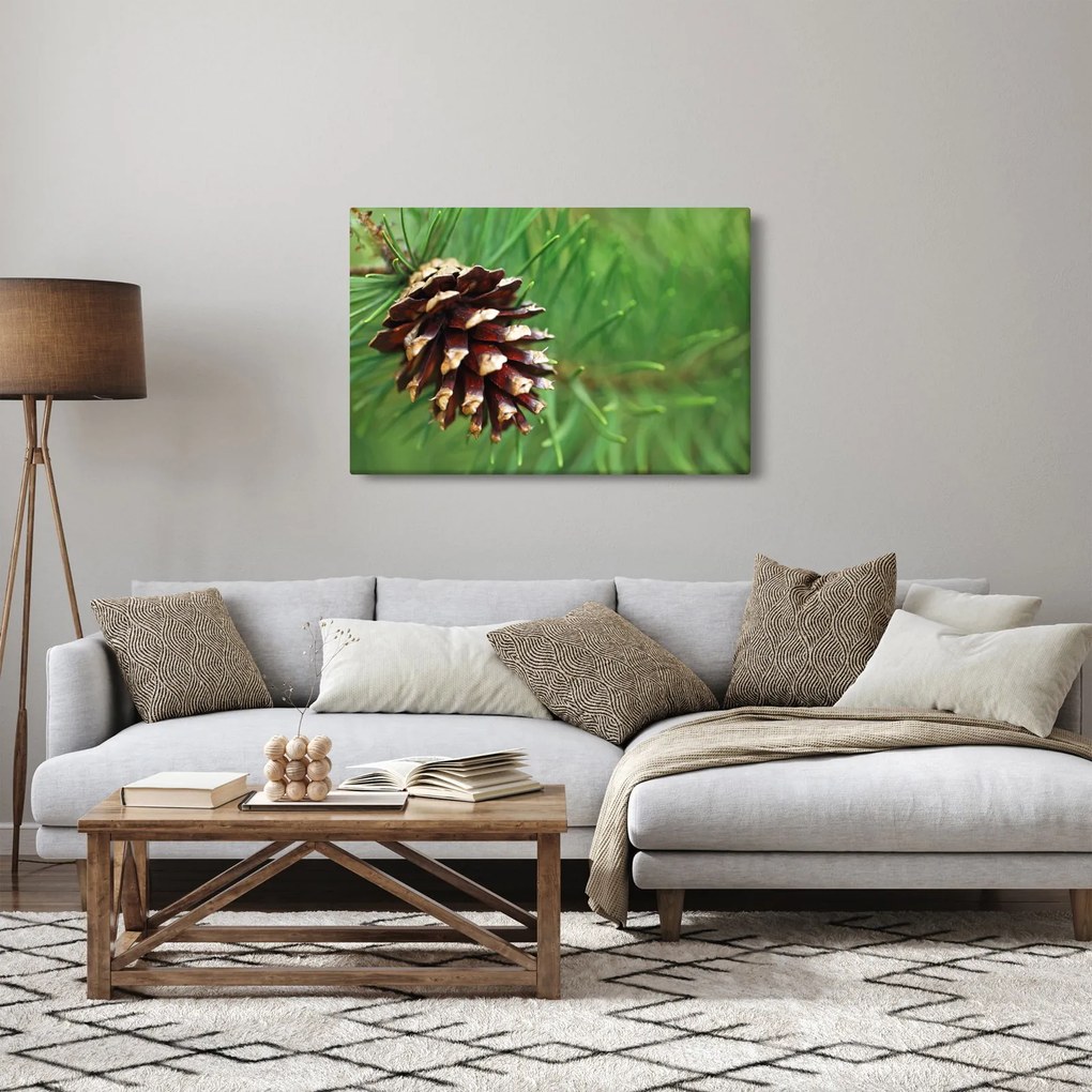 Tablou cu con (90x60 cm)