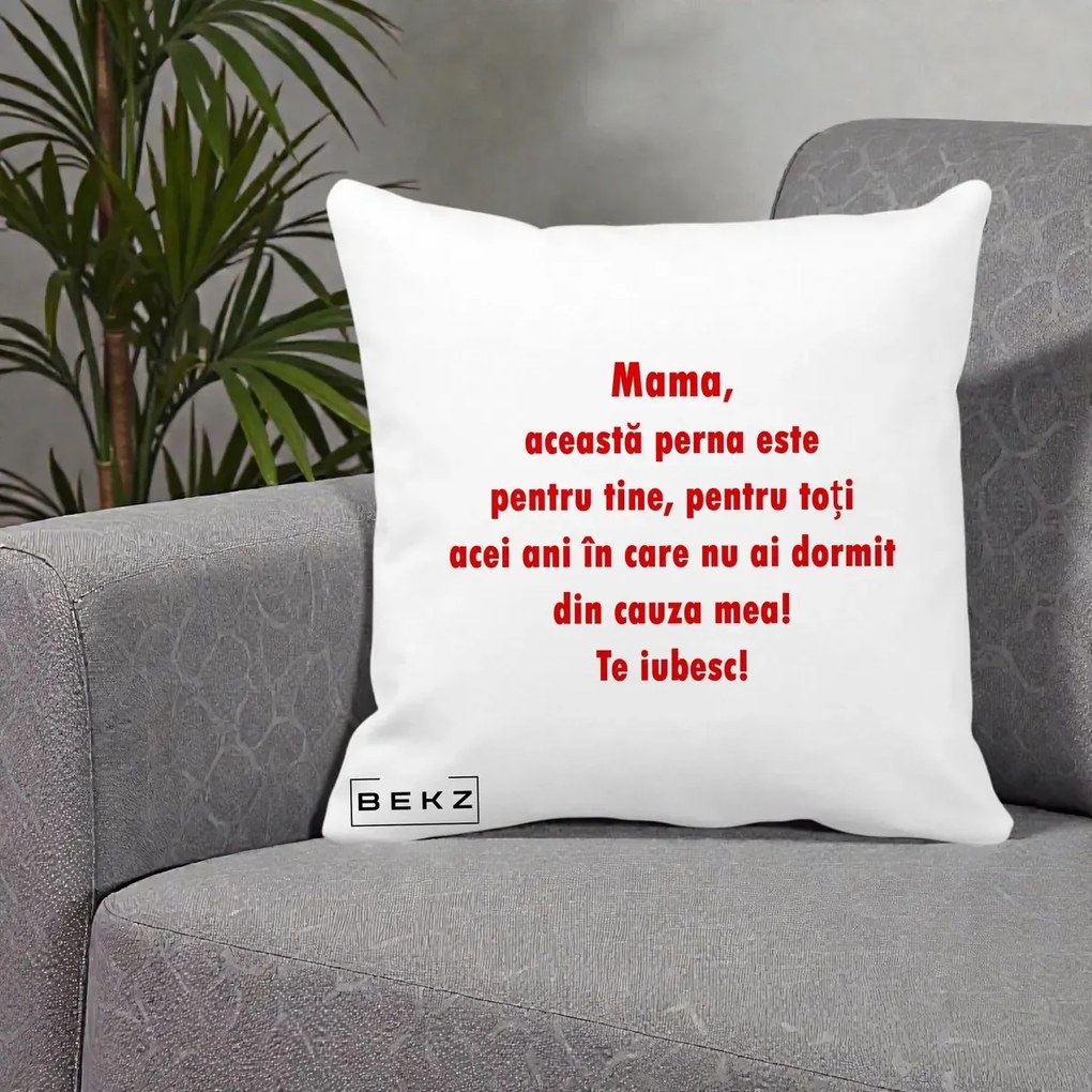 Cadou pentru Mama - Perna Personalizata Perna pentru Mama, 40x40 cm, Alba Mata, Husa Detasabila, Perna Inclusa, BEKZ®