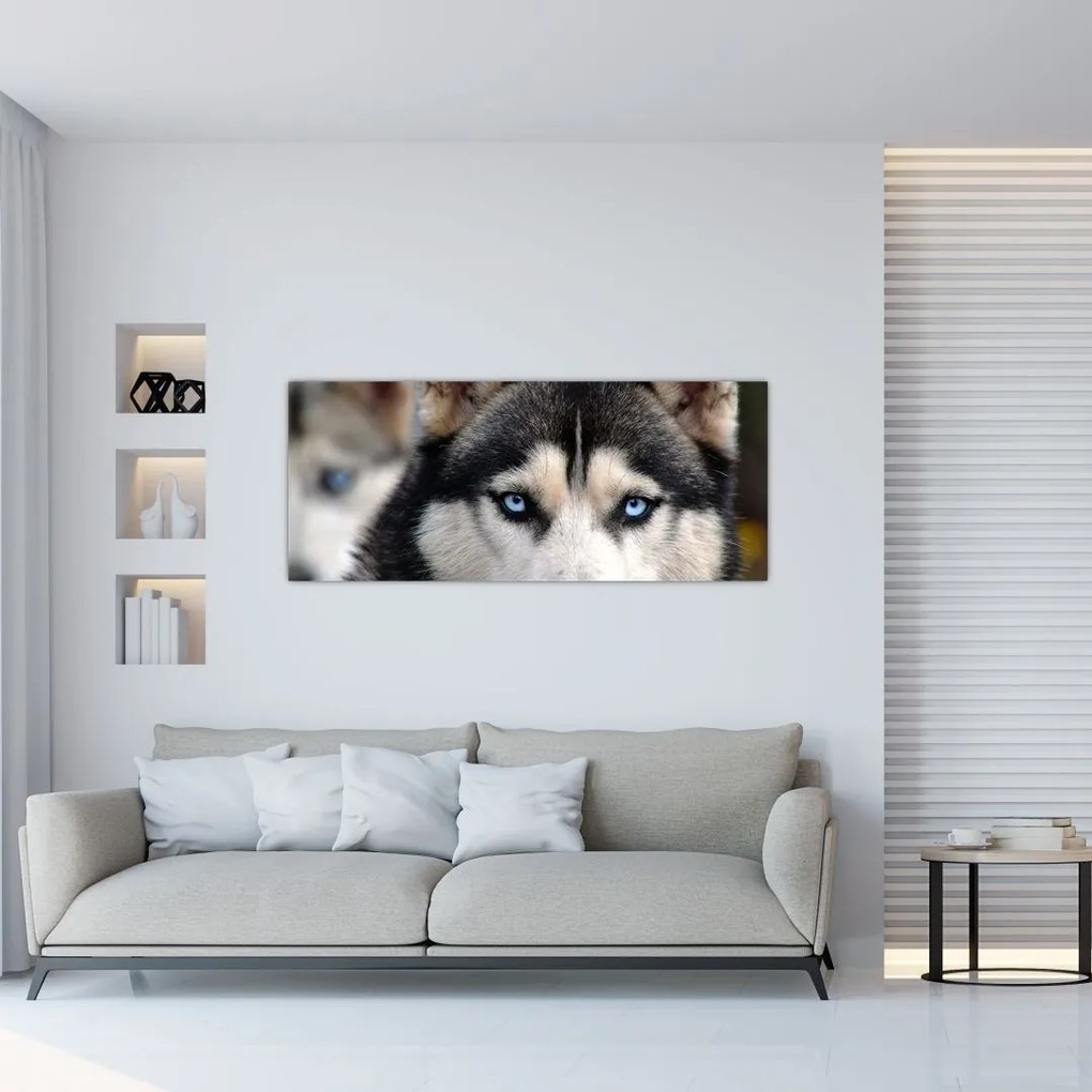 Tablou cu câinele husky (120x50 cm)