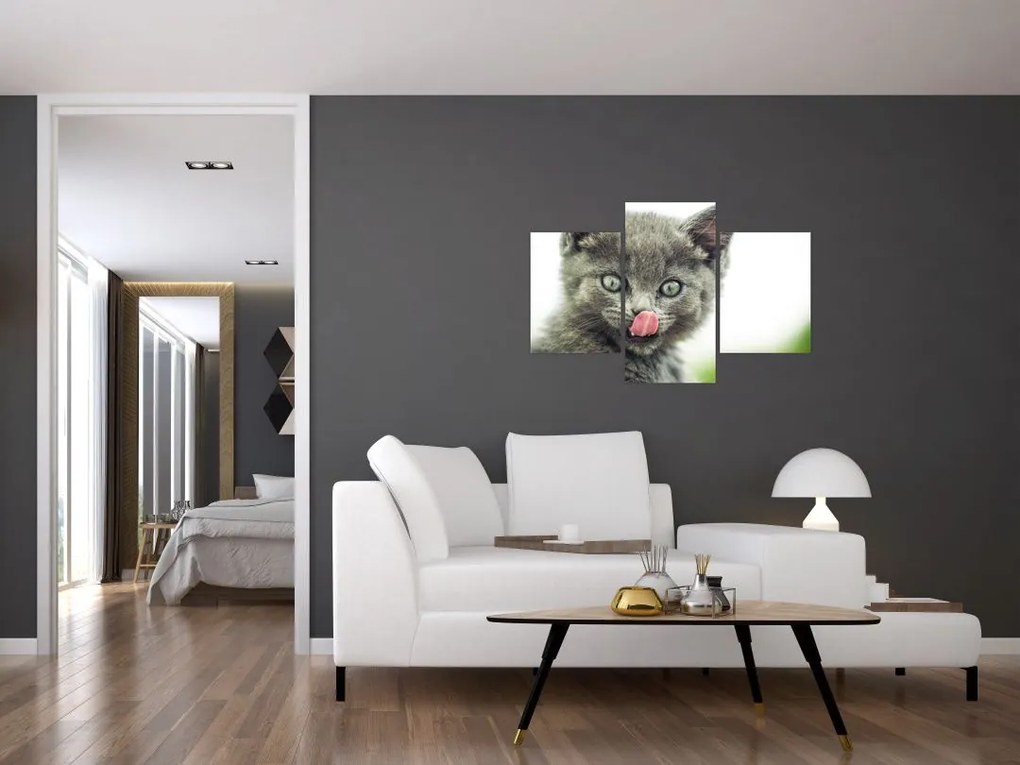 Tablou cu pisicuța lingându-se (90x60 cm)
