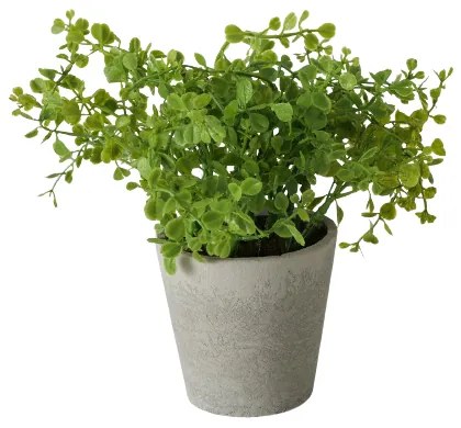 Eucalipt artificial in ghiveci Timothy 16/18 cm