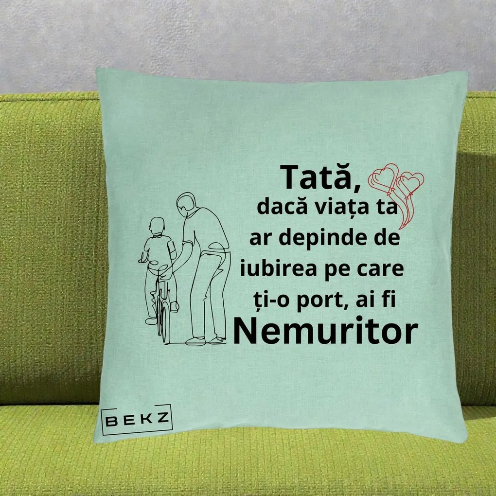 Cadou pentru Tata - Perna Personalizata Tata Nemuritor Bicicleta, 40x40 cm, Verde Menta, Husa Detasabila, Perna Inclusa, BEKZ®