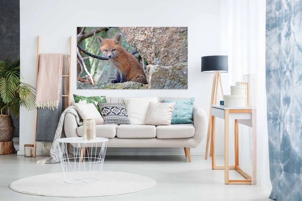 Tablou canvas vulpe - 120x80cm