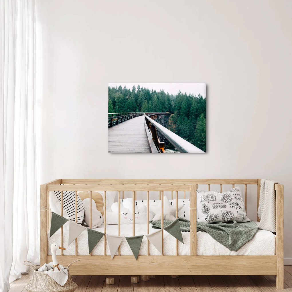 Tablou - Pod spre vârfurile copacilor (70x50 cm)